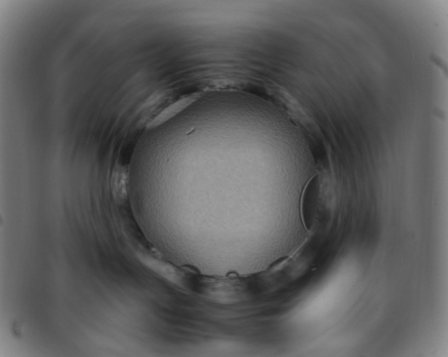 X0000097480191200803071725