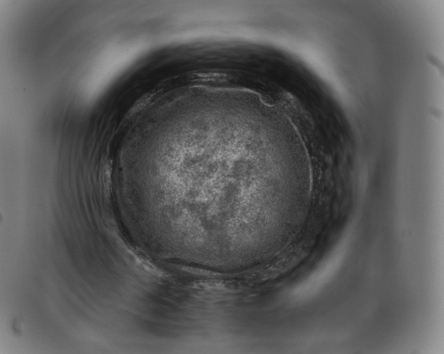 X0000097480194200803071724