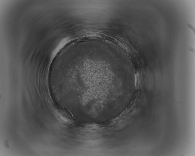 X0000097480195200803071724