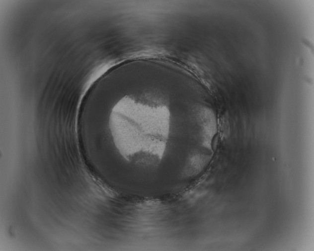 X0000097480196200803071724