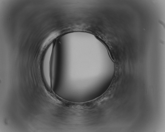 X0000097480197200803071724