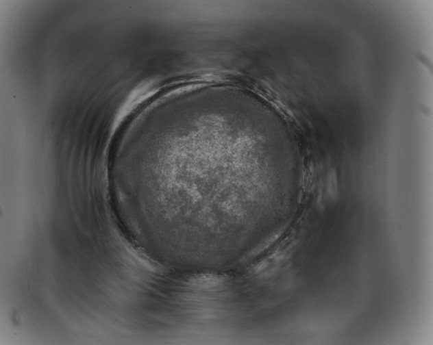 X0000097480198200803071724