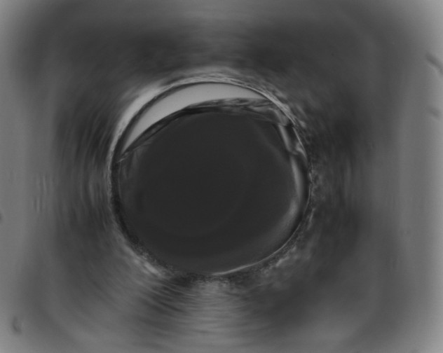 X0000097480200200803071724