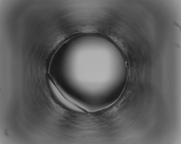 X0000097480201200803071724