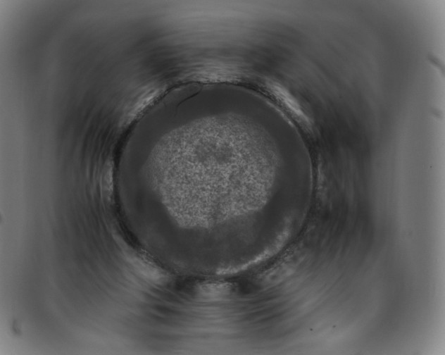 X0000097480202200803071724