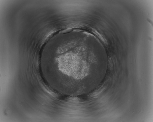 X0000097480203200803071724