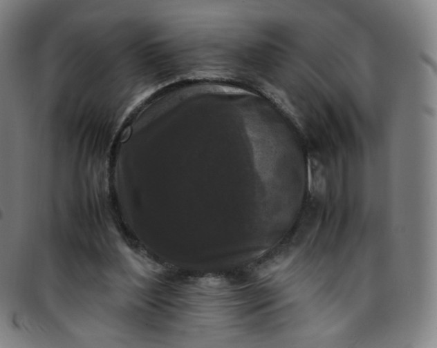 X0000097480204200803071724