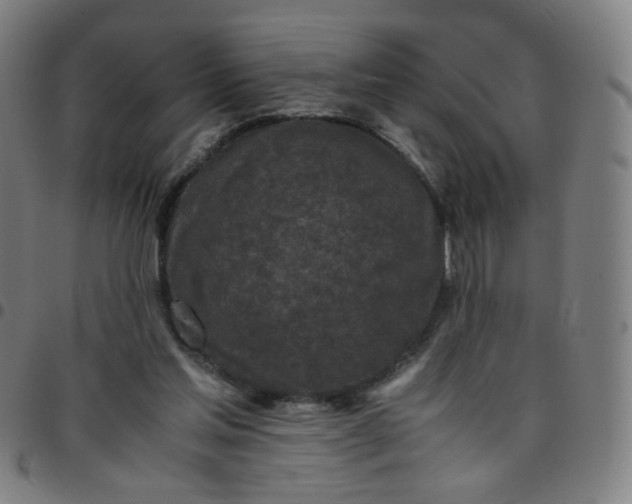 X0000097480205200803071724