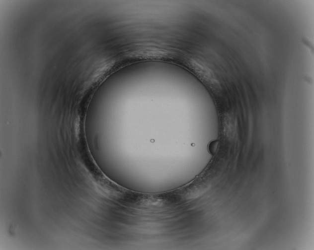 X0000097480206200803071724