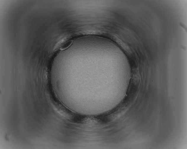 X0000097480207200803071724