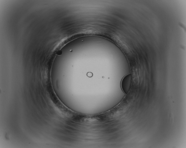 X0000097480208200803071724