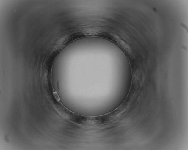 X0000097480209200803071724