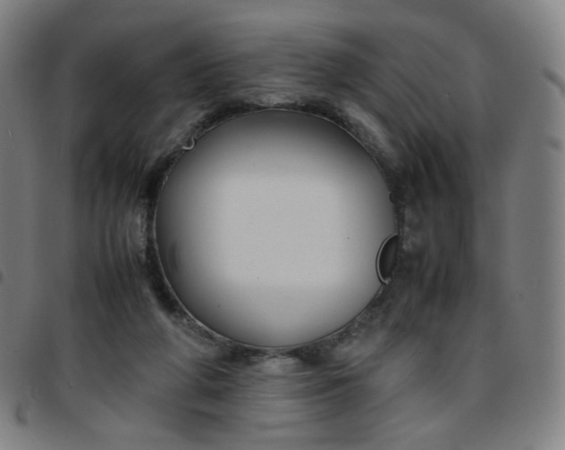 X0000097480210200803071724