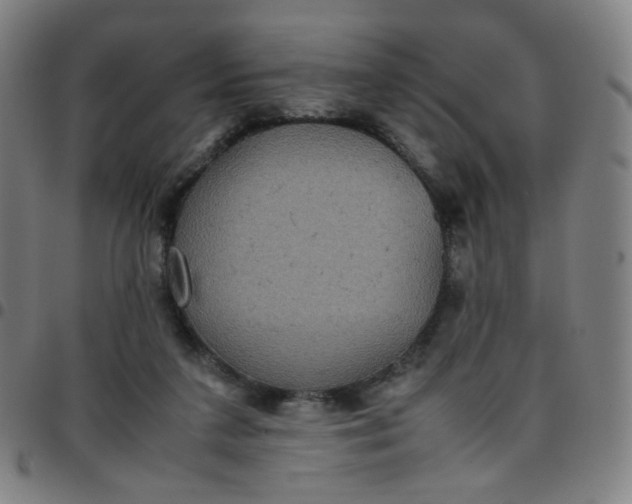 X0000097480211200803071724