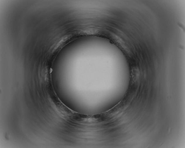 X0000097480212200803071724