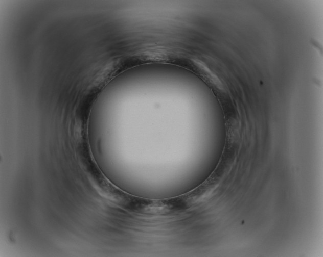 X0000097480213200803071724