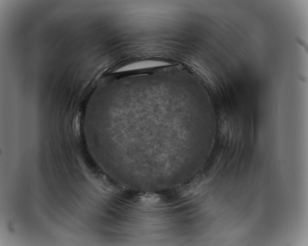 X0000097480214200803071724