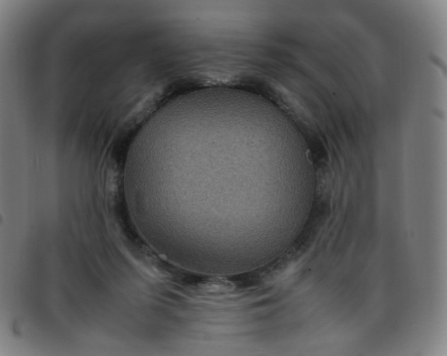 X0000097480215200803071724