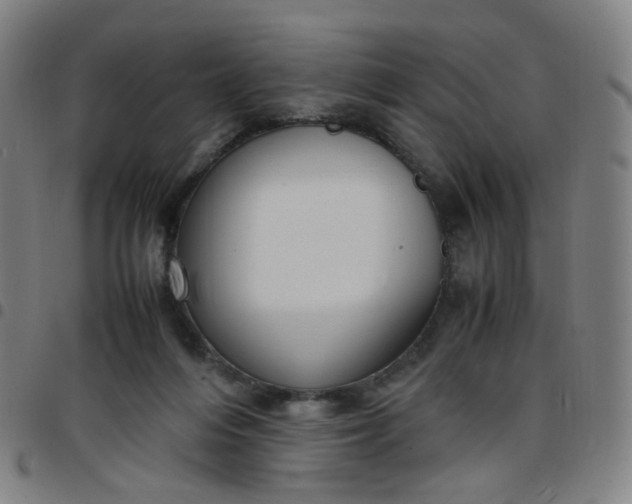 X0000097480216200803071724