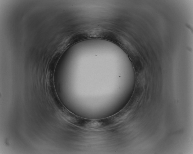 X0000097480217200803071724