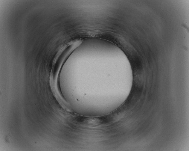 X0000097480221200803071724