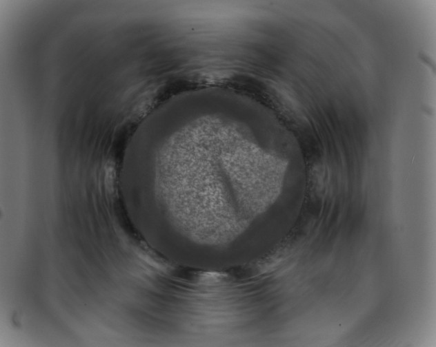 X0000097480222200803071724