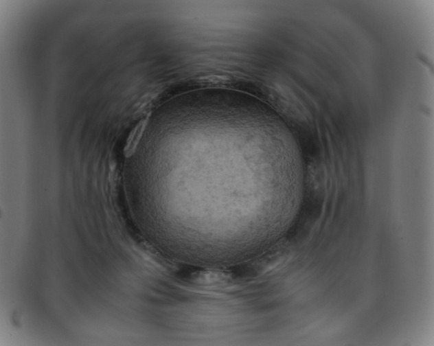 X0000097480223200803071724