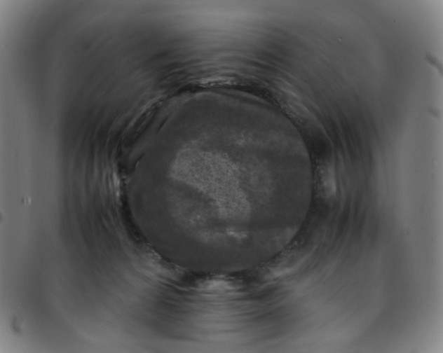 X0000097480224200803071724