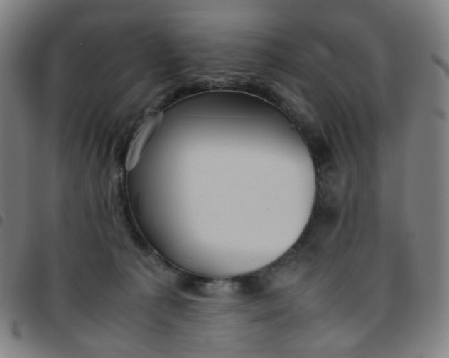 X0000097480225200803071724