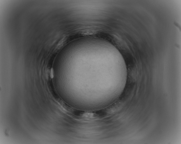 X0000097480227200803071724