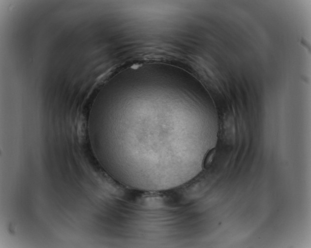 X0000097480228200803071724