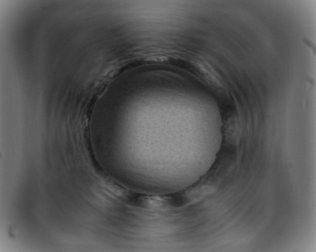 X0000097480229200803071724