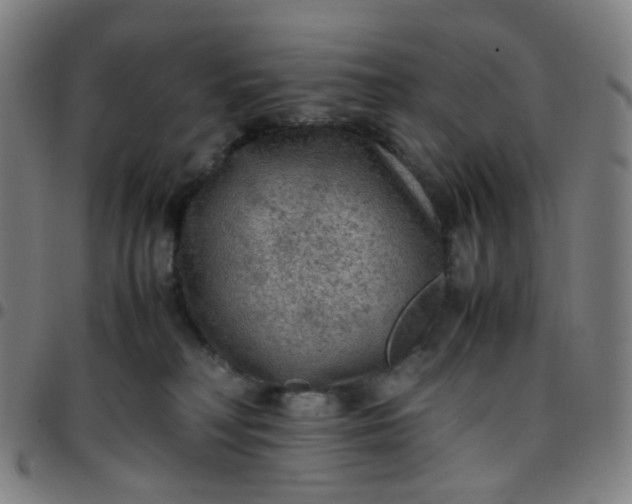 X0000097480230200803071723