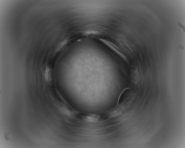 X0000097480232200803071723