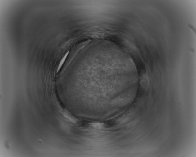 X0000097480233200803071723