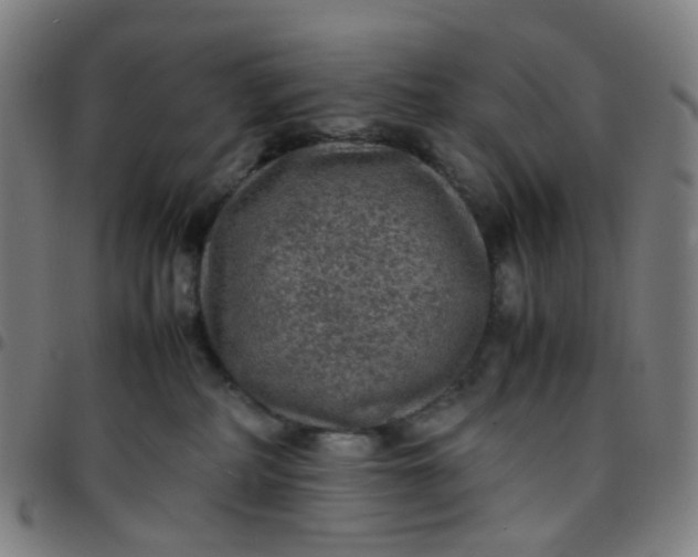 X0000097480234200803071723