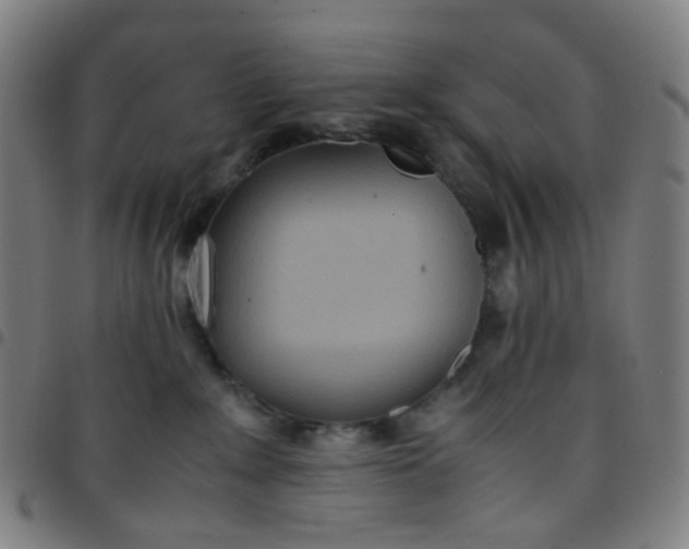 X0000097480235200803071723