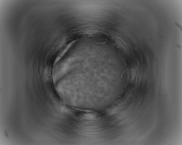 X0000097480236200803071723