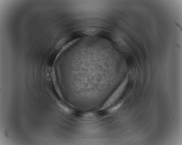 X0000097480237200803071723