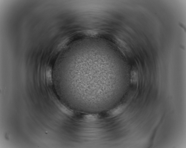 X0000097480238200803071723