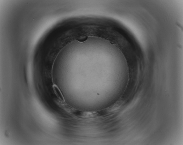 X0000097480239200803071723