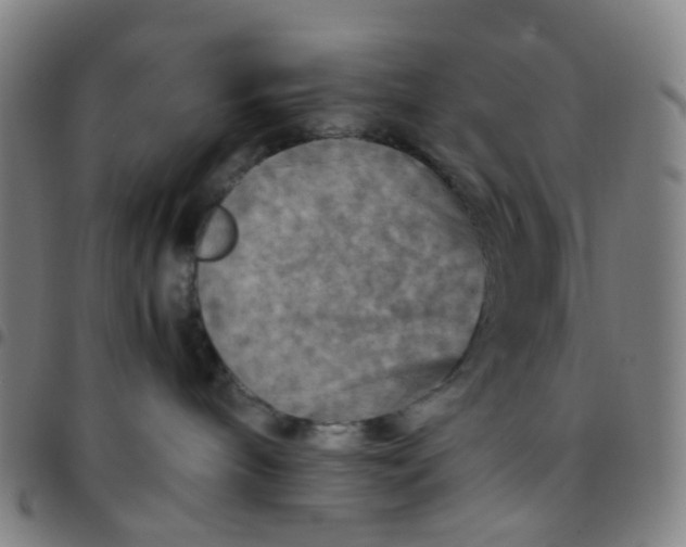 X0000097480240200803071723