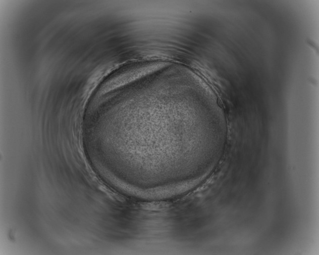 X0000097480241200803071723