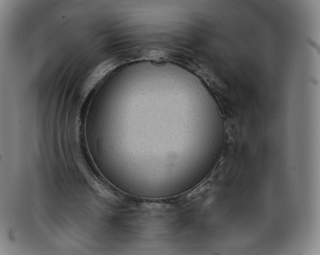 X0000097480242200803071723