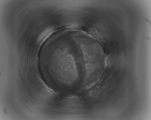 X0000097480243200803071723