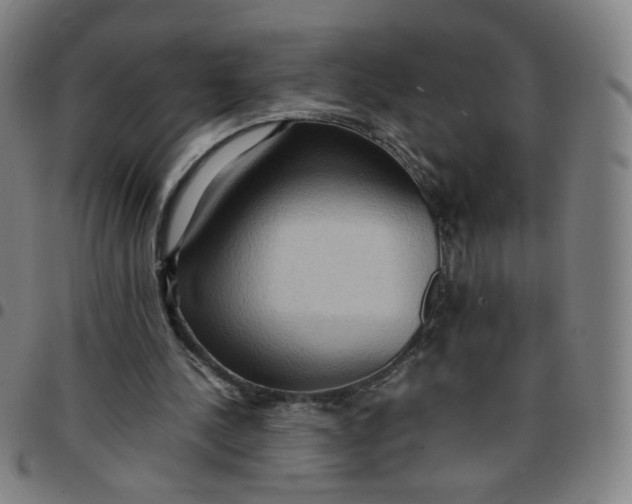 X0000097480244200803071723