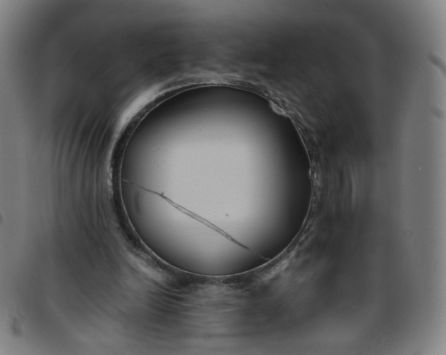 X0000097480246200803071723