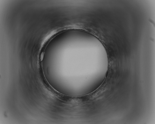 X0000097480248200803071723