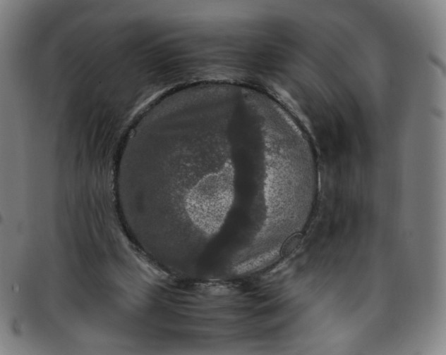 X0000097480249200803071723