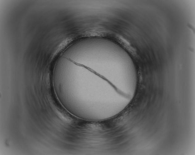 X0000097480250200803071723